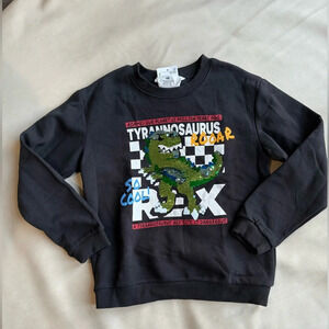 H&M dinosaur crewneck sweater
